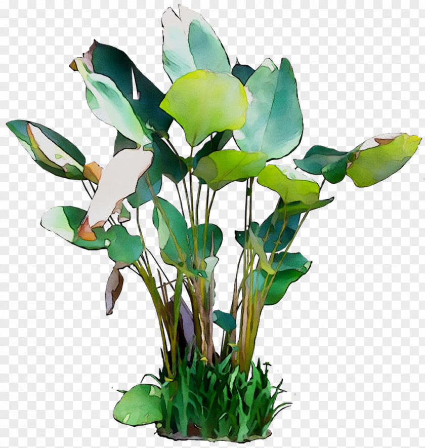 Floral Design Cut Flowers Leaf Plant Stem PNG