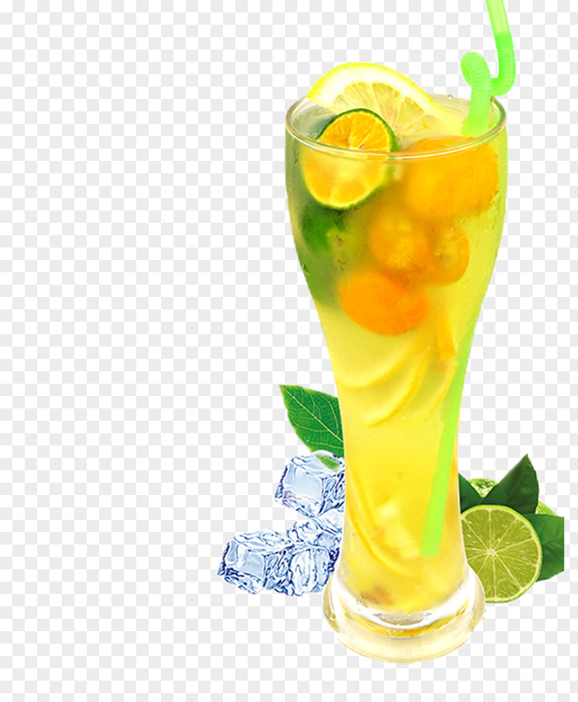 Kumquat Lemon Juice PNG
