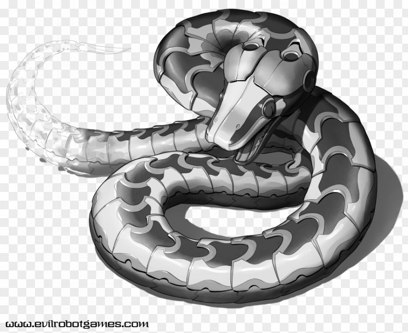 Robot Boa Constrictor Snakes Snakebot Drawing PNG