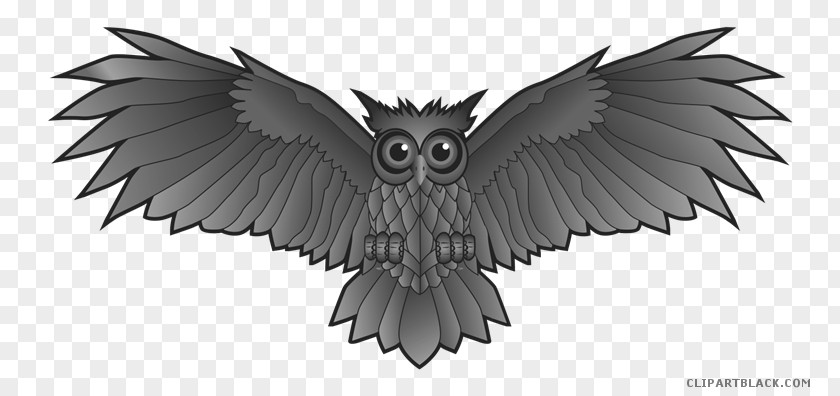 Blacj White Owl Clip Art Vector Graphics Image Illustration PNG