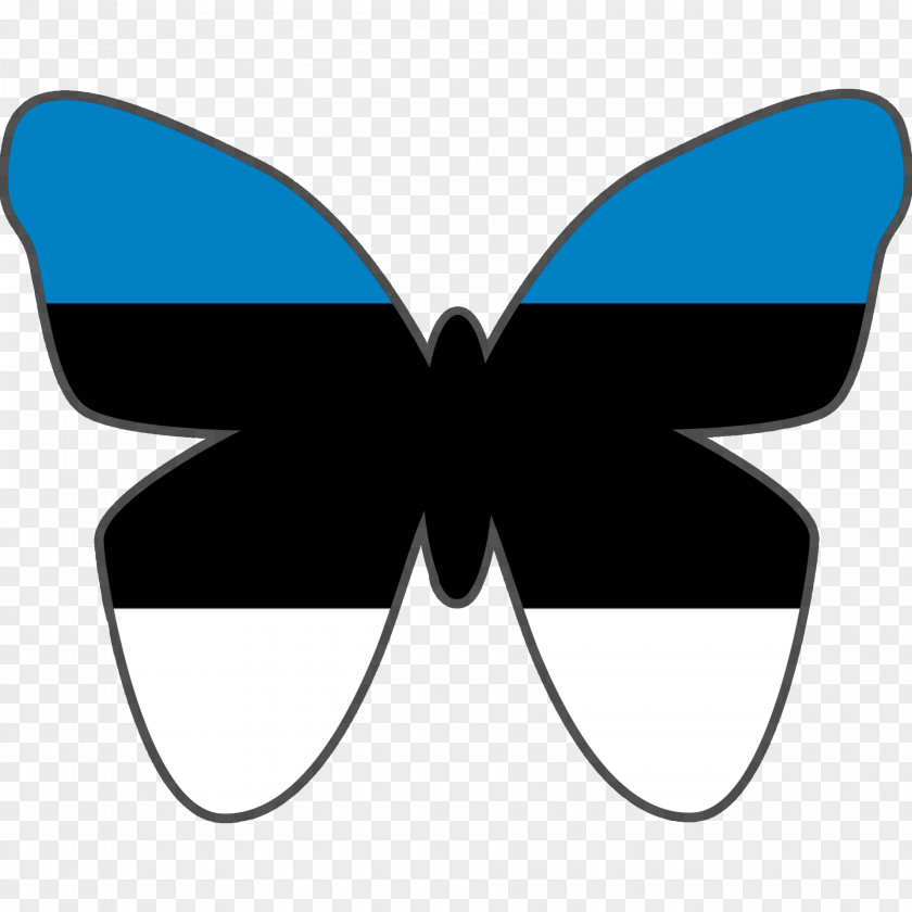 Butterfly Monarch Brush-footed Butterflies Symmetry Clip Art PNG
