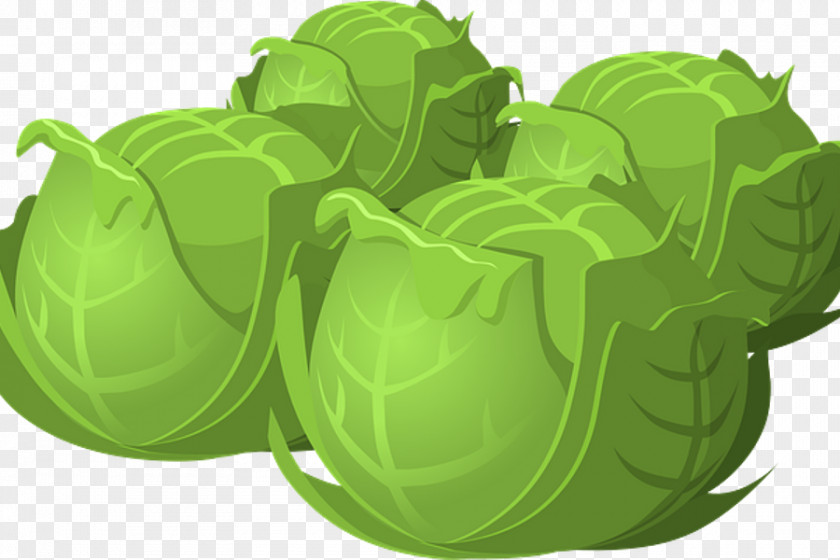 Cabbage Brussels Sprouts Vegetarian Cuisine Clip Art Vegetable PNG