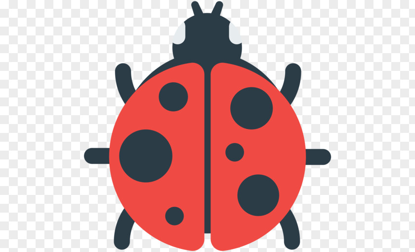 Emoji Emojipedia Ladybird Beetle Name PNG