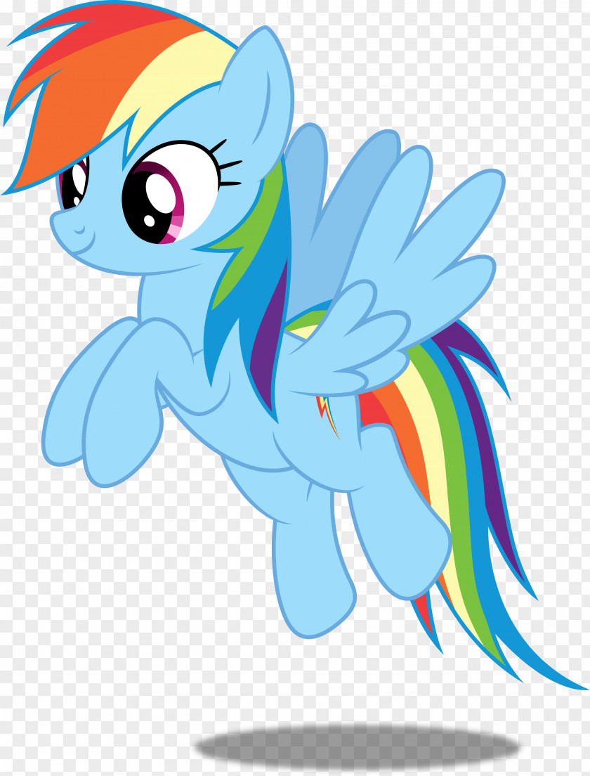 Little Pony Rainbow Dash Pinkie Pie PNG