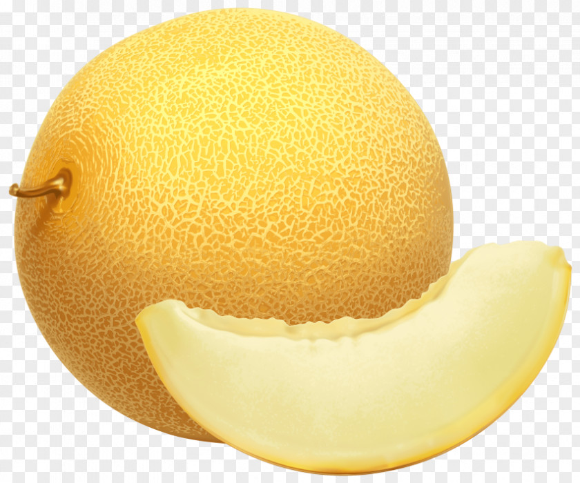 Melon Cantaloupe Honeydew Canary Clip Art PNG