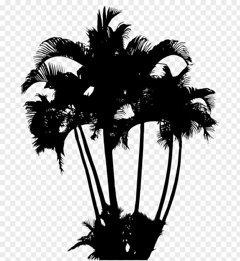 Palm Trees Image Logo Coconut PNG