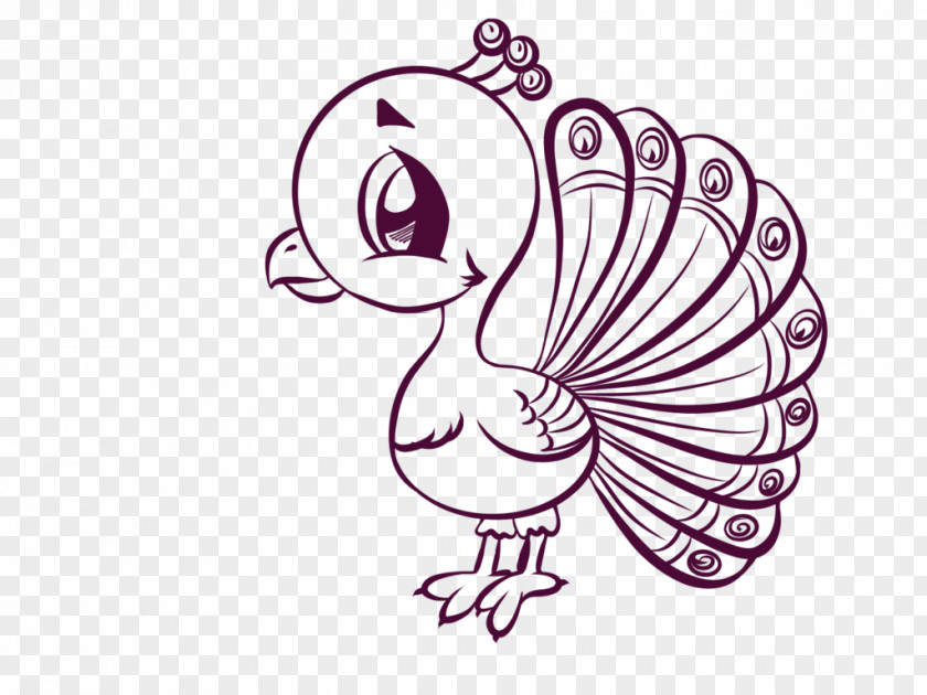 Cartoon Peacock Line Art Drawing Black And White Clip PNG