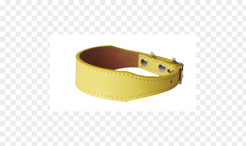 Dog Collar Belt Buckles PNG