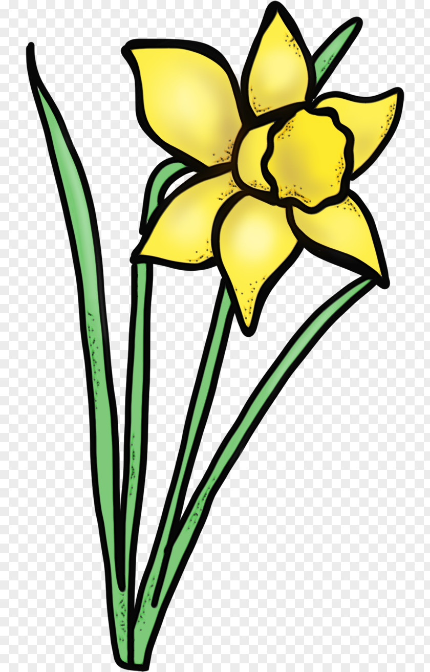 Flowering Plant Stem Flower Yellow Clip Art Pedicel PNG