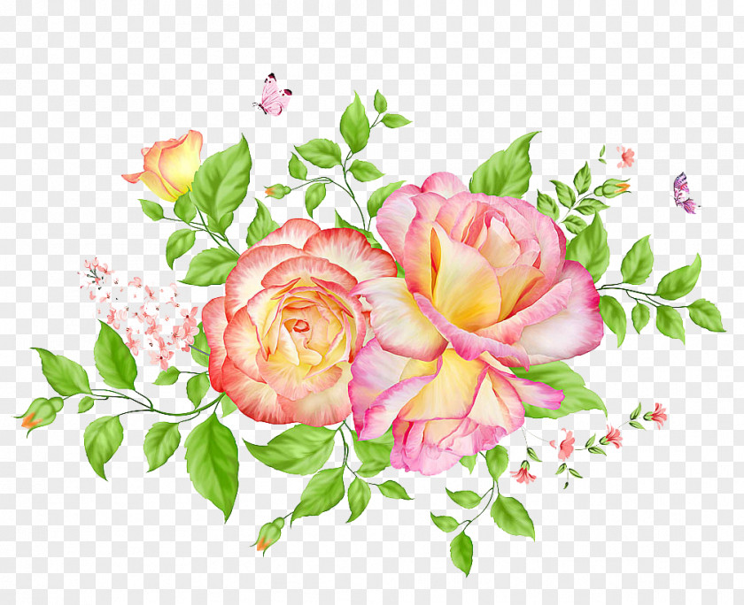 Fresh And Beautiful Hand-painted Flowers Plant Flower Drawing PNG