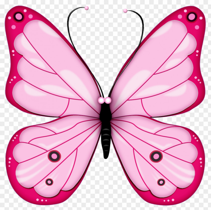 Pink Butterfly Image, Butterflies Clip Art PNG