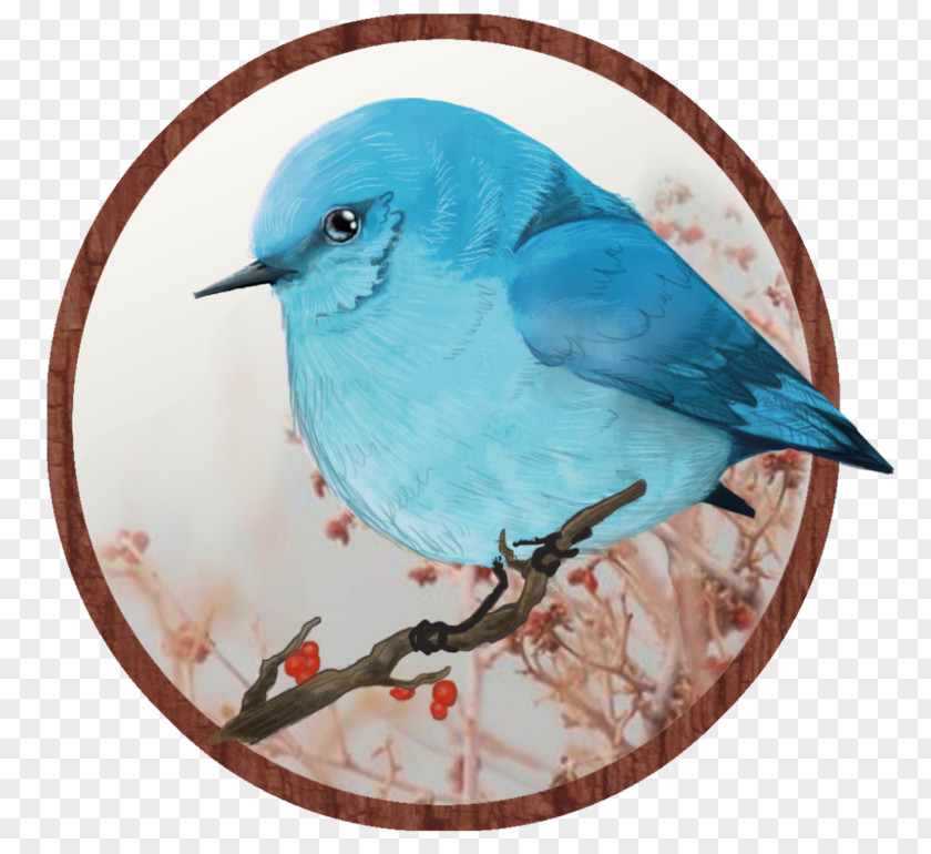 Blue Bird Owl Fan Art Beak Feather PNG