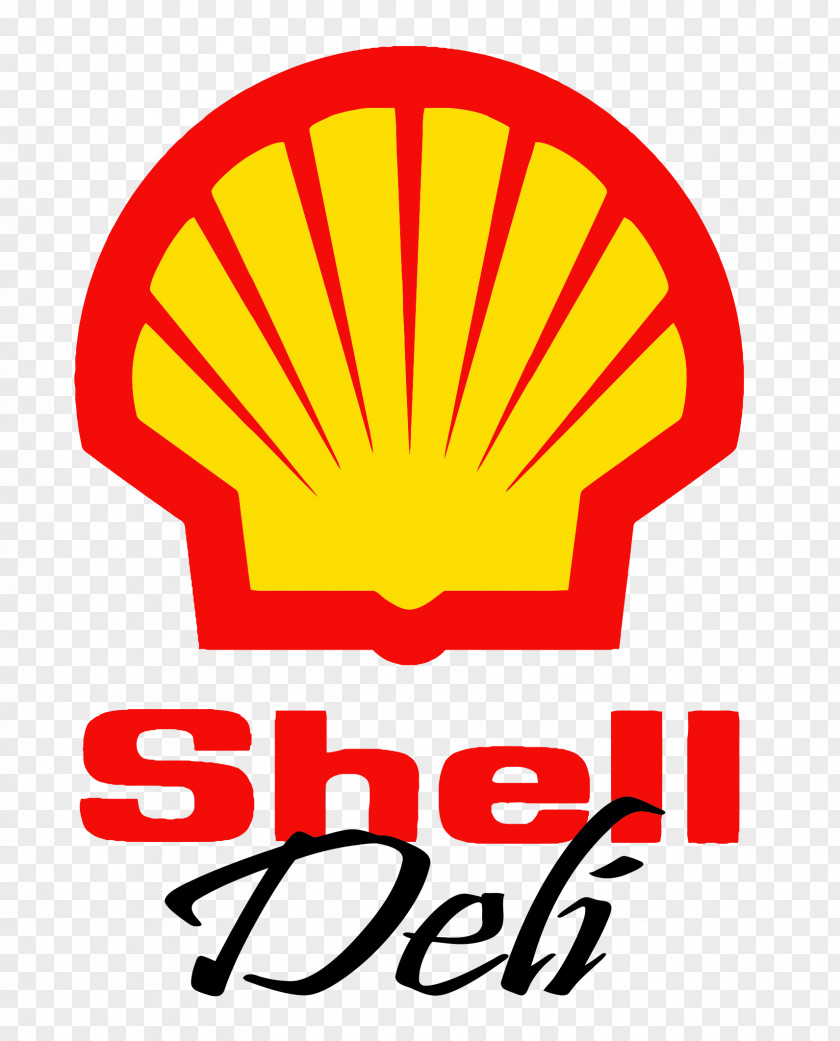 Business Conflict In The Niger Delta Royal Dutch Shell Petroleum Development Company Of Nigeria Limited PNG