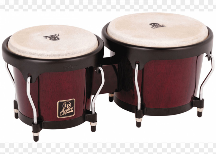 Drum Bongo Latin Percussion Conga PNG