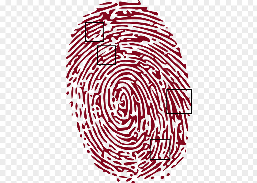 Forensic Science Fingerprint Crime Clip Art PNG