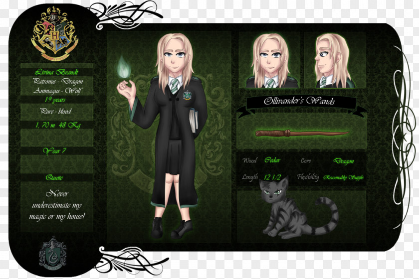 Harry Potter Sorting Hat Nymphadora Lupin Slytherin House Hogwarts PNG