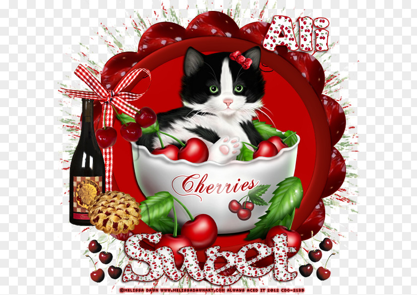 Kitten Whiskers Christmas Ornament Cherry Fruit PNG