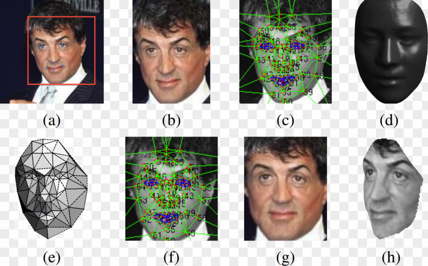 Landmarks Mark Zuckerberg DeepFace Facebook Facial Recognition System Deep Learning PNG