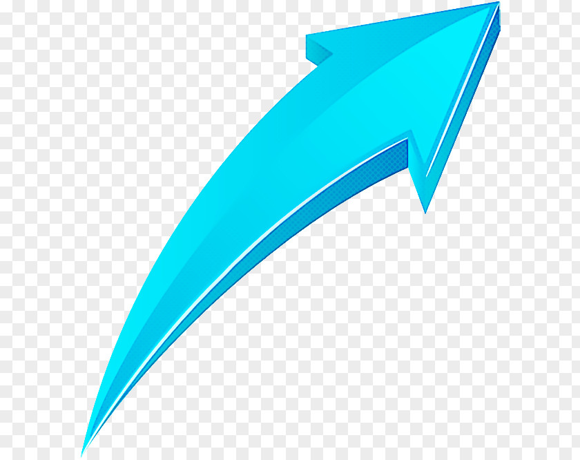 Logo Aqua Fin Turquoise Line PNG