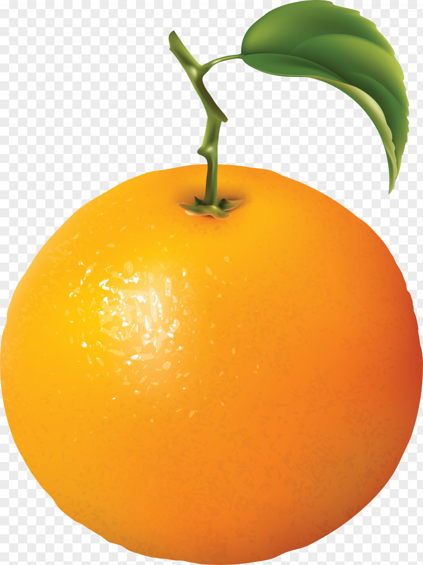 Orange Image Download Fruit Clip Art PNG