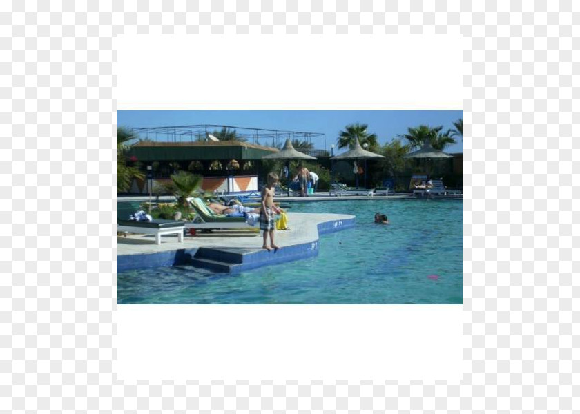Water Lagoon Park Swimming Pool Leisure PNG