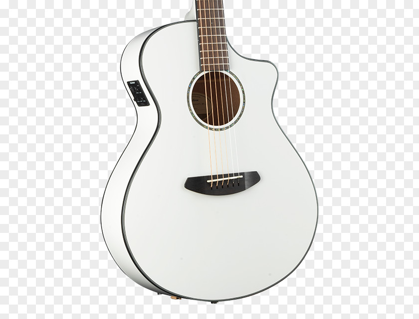 Acoustic Guitar Acoustic-electric Dreadnought Classical PNG