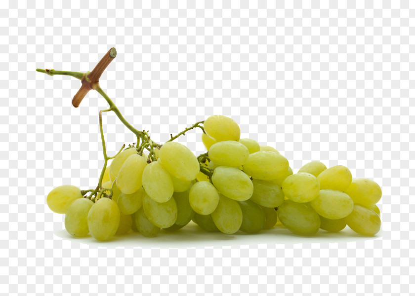 Grape Sultana Seedless Fruit PNG