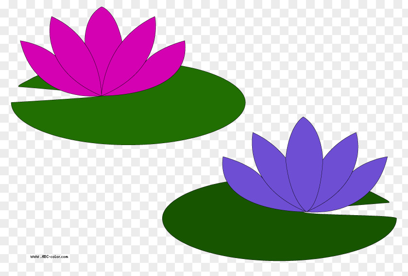 Lilies Cliparts Water Le Bassin Aux Nymphxe9as Egyptian Lotus Easter Lily Nymphaea Alba PNG