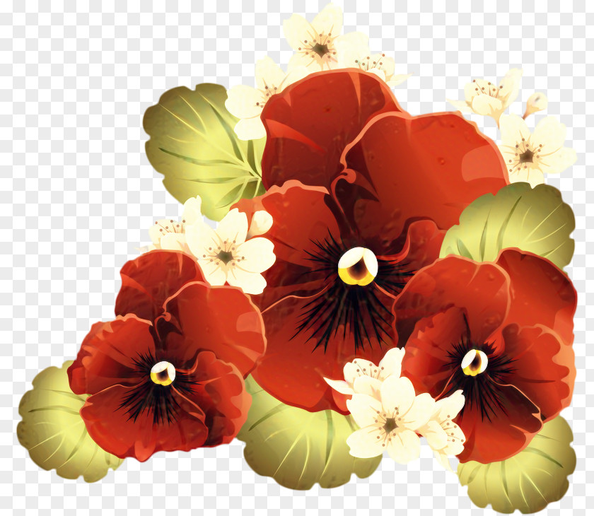 Mallow Family Annual Plant Background Day PNG