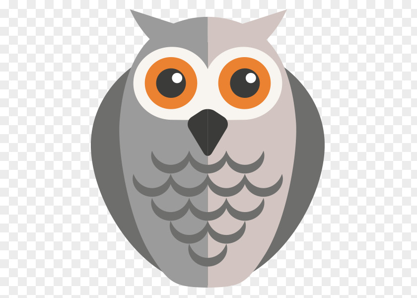 Owls Download Bird PNG
