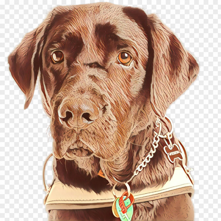 Pointer Gun Dog Cartoon PNG