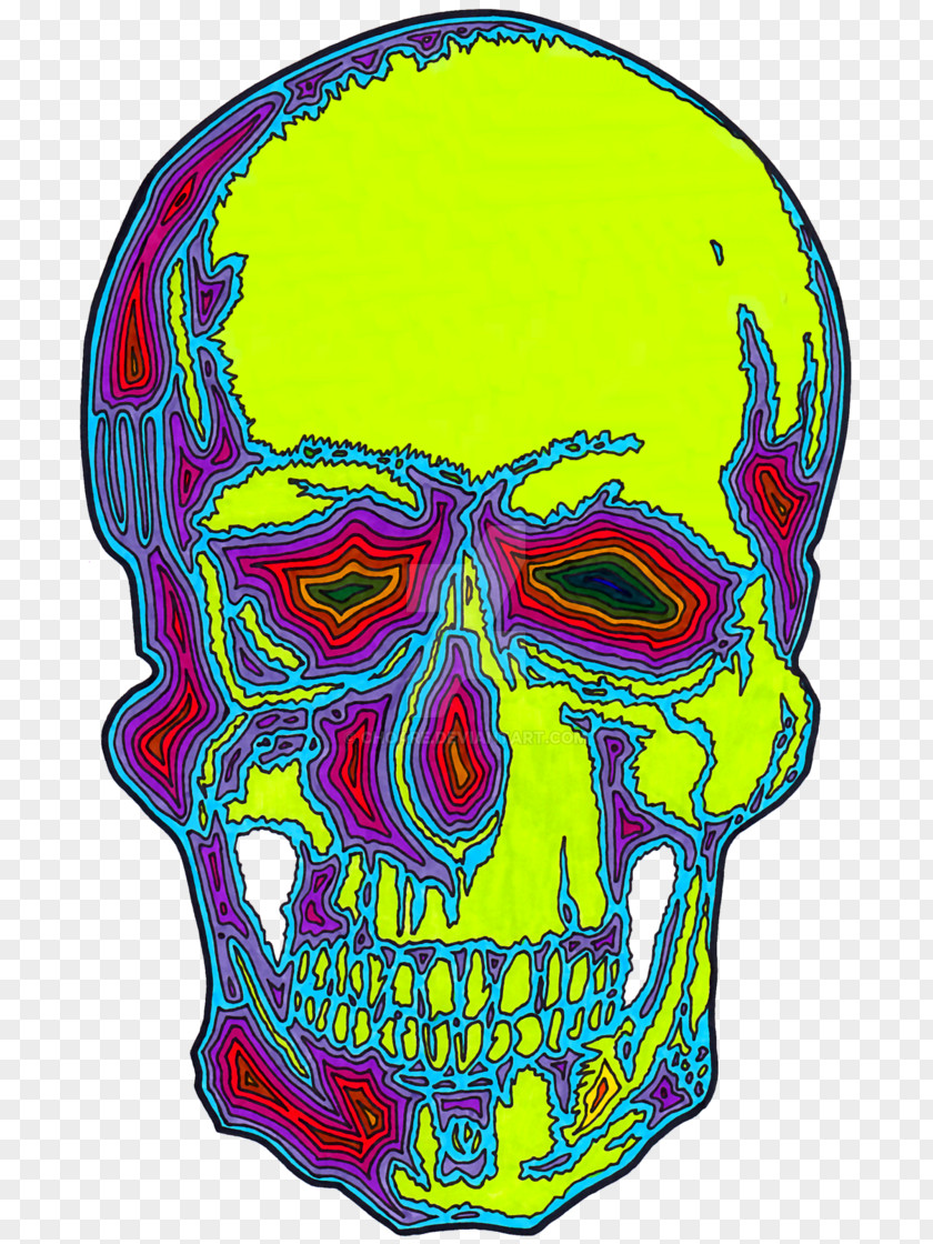 Skull Headgear Jaw PNG