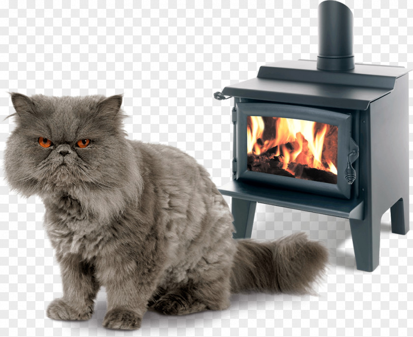Stove Wood Stoves Fireplace Wood-fired Oven PNG