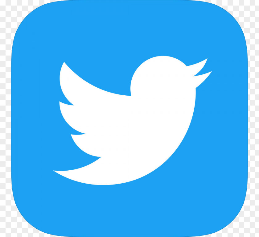 Twitter Icon Social Media Wikipedia Logo PNG