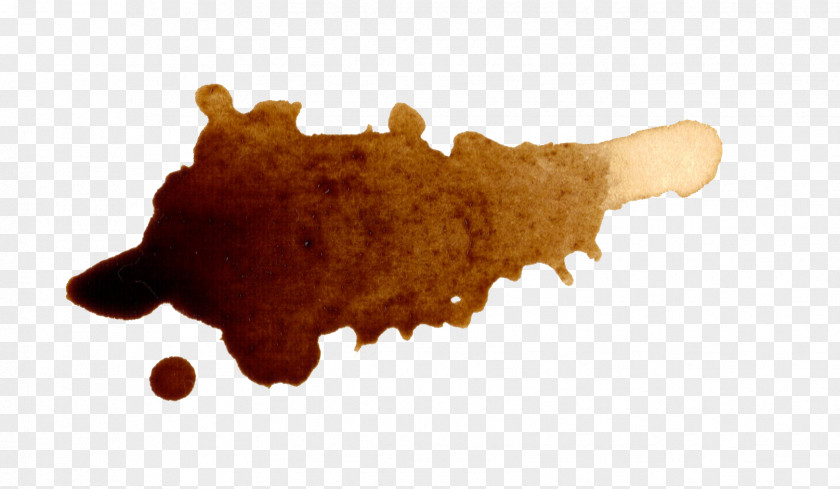 Watercolor Stain Coffee Latte Espresso Cafe PNG