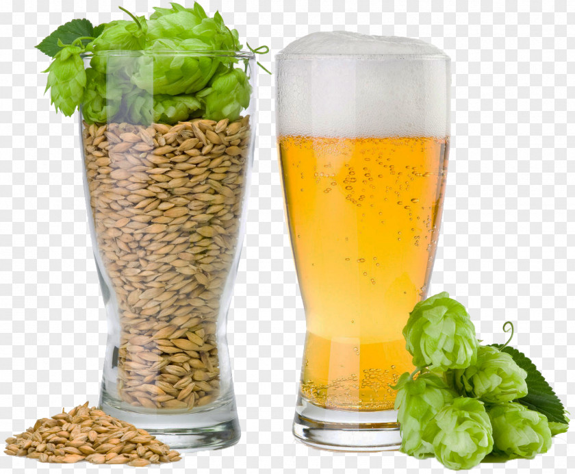 Beer Brewing Grains & Malts Common Hop Brewery PNG