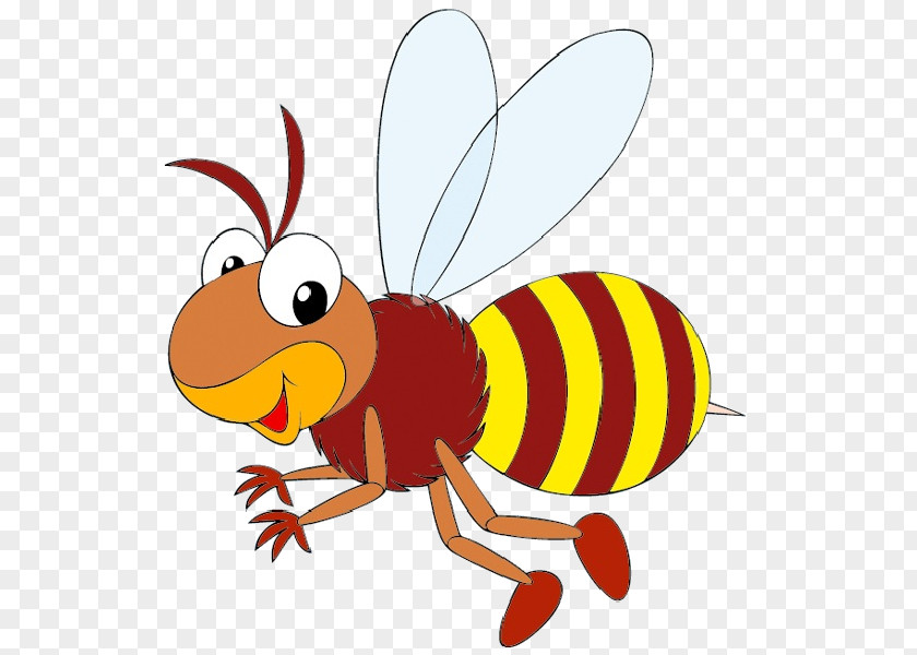 Honey Bee Western Life Cycle Bumblebee Clip Art PNG