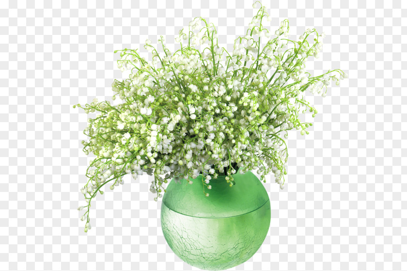 Lily Of The Valley Cut Flowers Easter Petal PNG