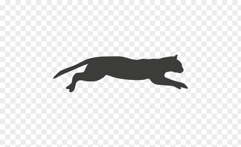 Runner Cat Animation PNG