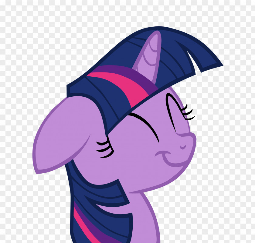 Twilight Sparkle Pinkie Pie Rainbow Dash Rarity Applejack PNG