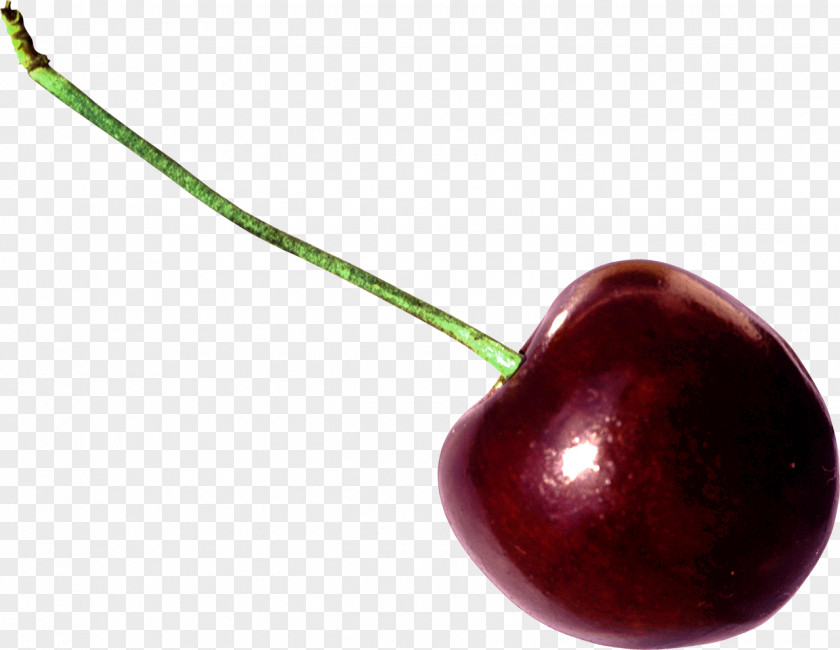 Cherries Sweet Cherry Cerasus Clip Art PNG