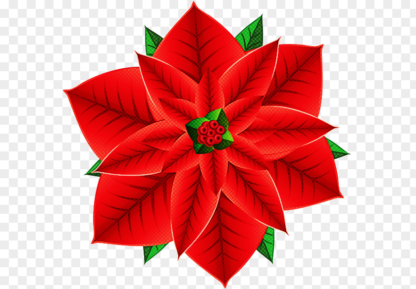 Christmas Decoration PNG