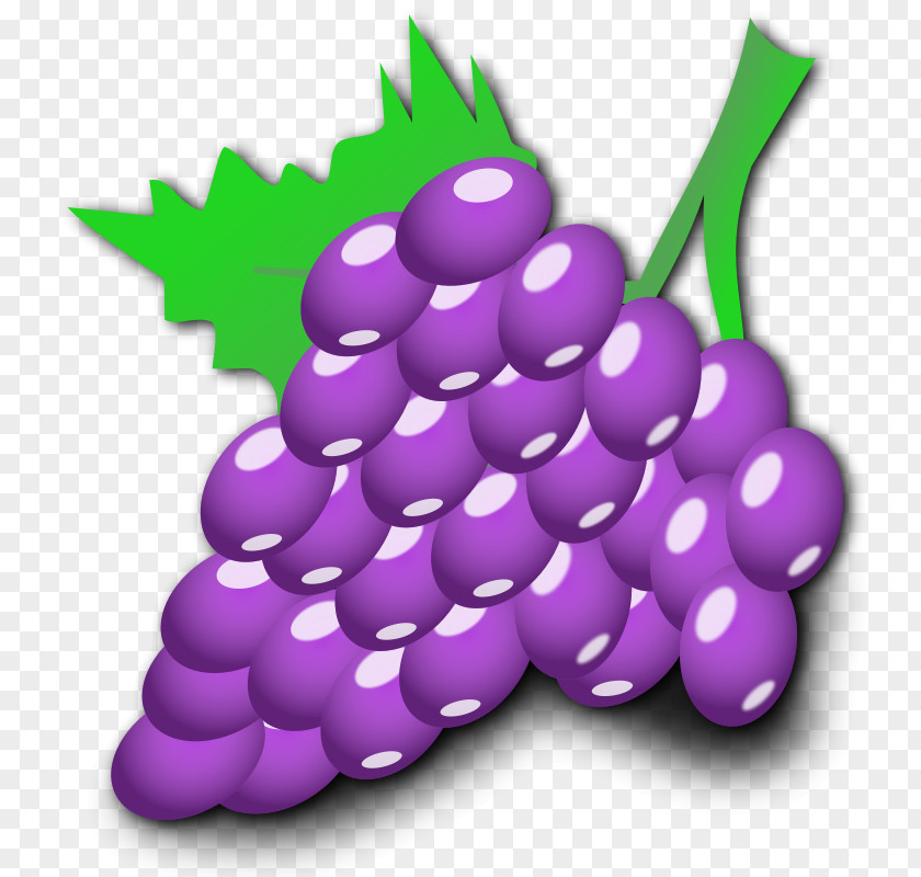 Grapes Images Common Grape Vine Cartoon Clip Art PNG