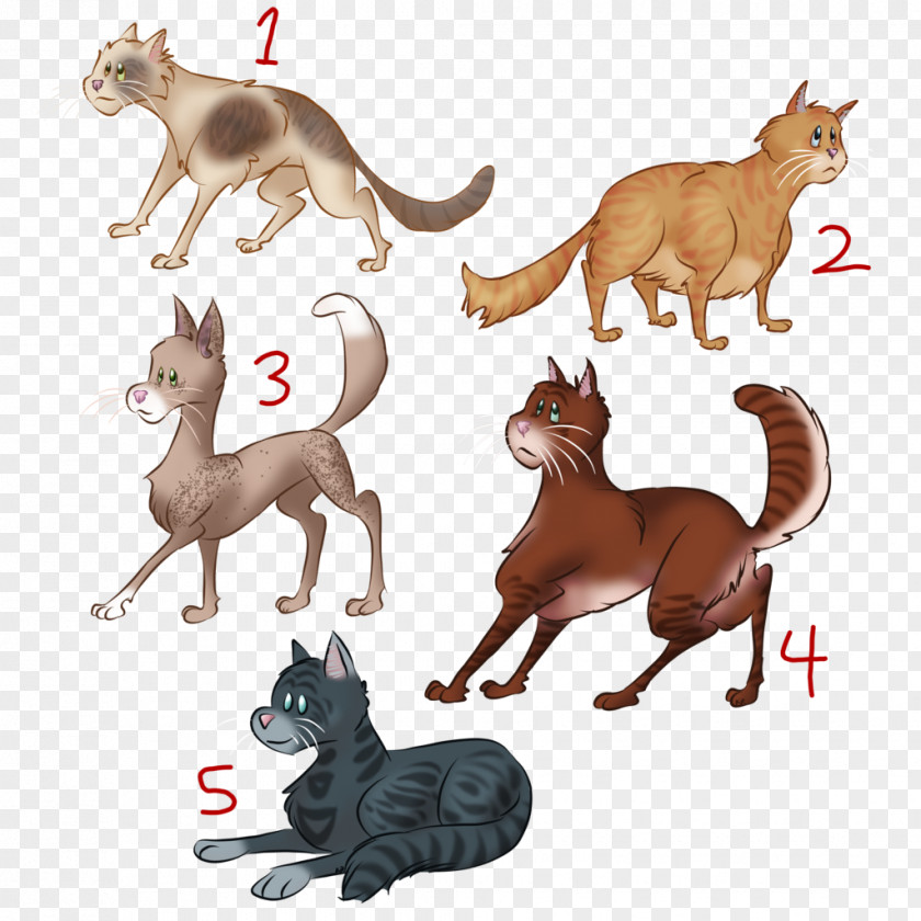 Kitten Cat Dog Warriors Canidae PNG