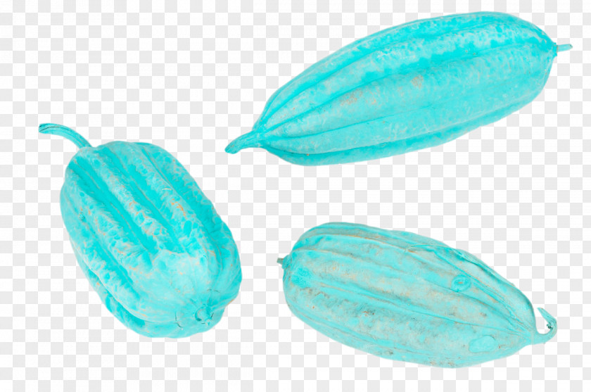Luffa Turquoise Organism PNG