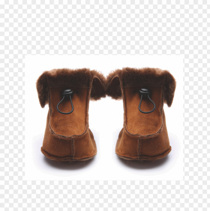 Boot Snout Dog Shoe Mammal PNG