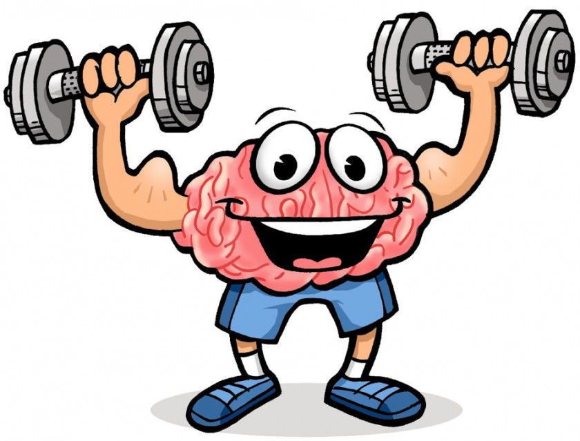 Brain Excercising Cliparts Physical Exercise Cognitive Training Fitness Clip Art PNG