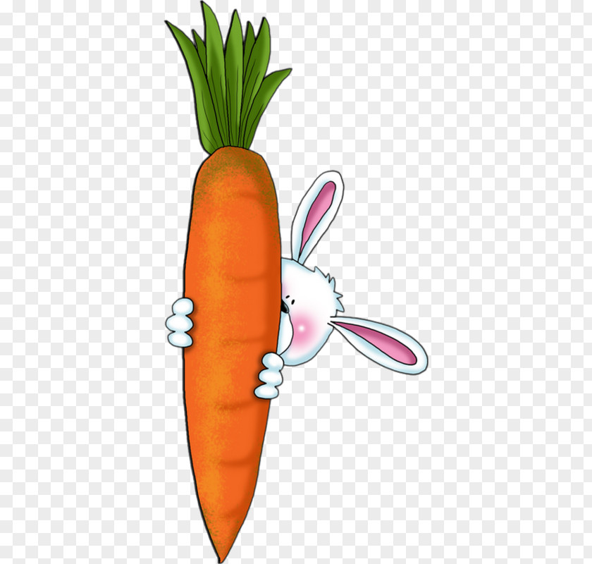 Carrot Cake Hare Rabbit Clip Art PNG