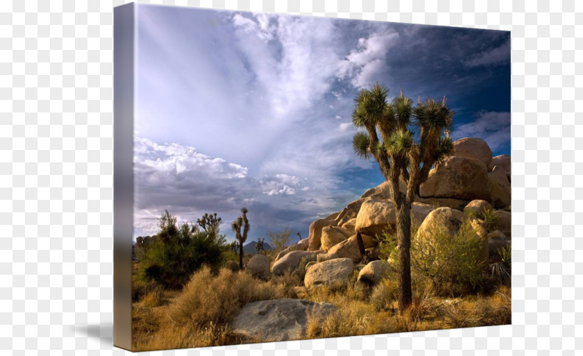 Desert Rocks Desktop Wallpaper Stock Photography Computer Mountain PNG