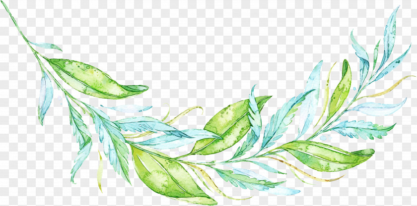 Feather Botany Watercolor Leaf PNG
